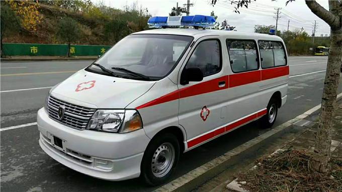 和布克赛尔丰田海狮救护车